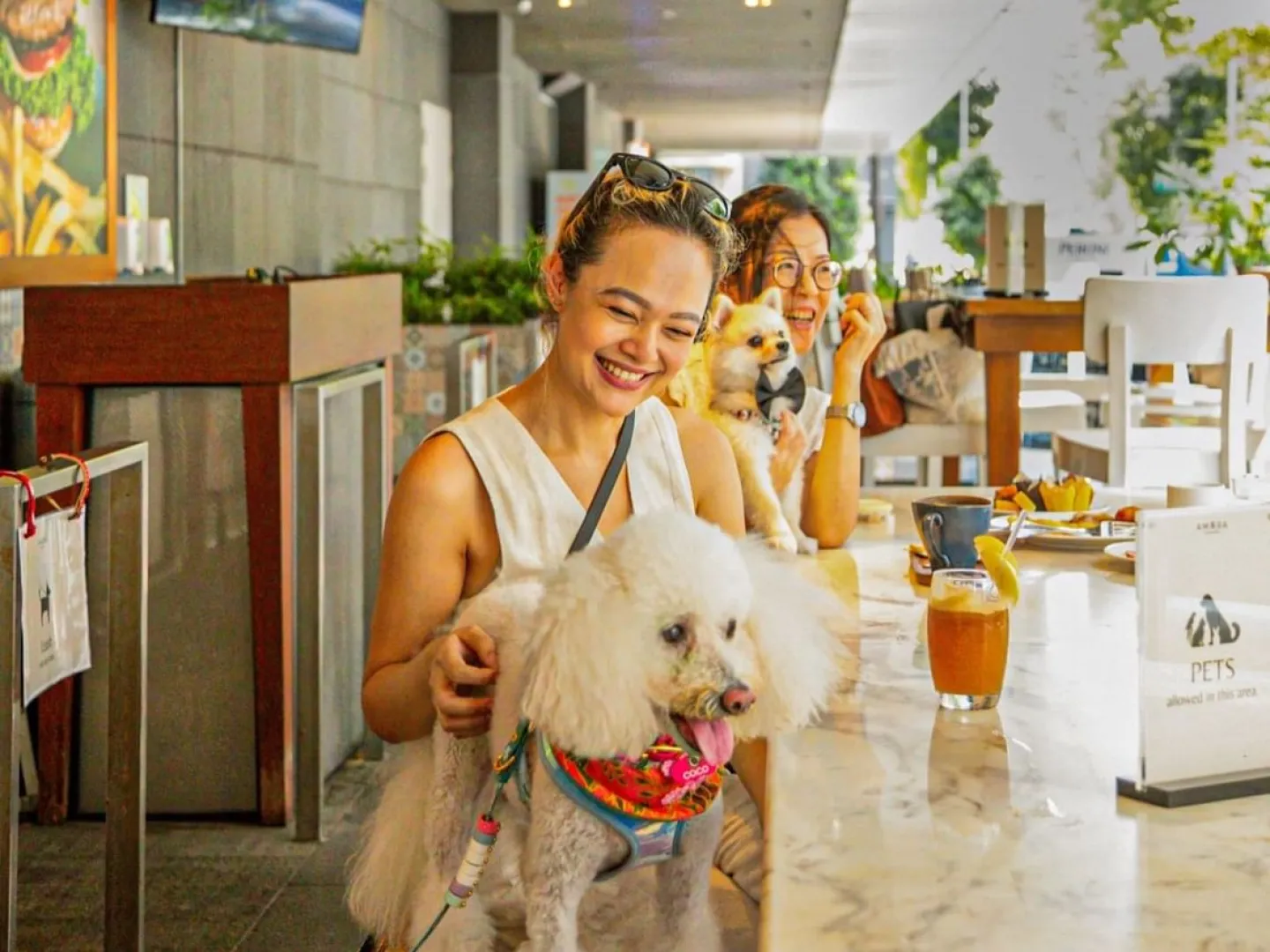 トラス・ストリートの「エレメント」にて「ポーズ＆プレイ」