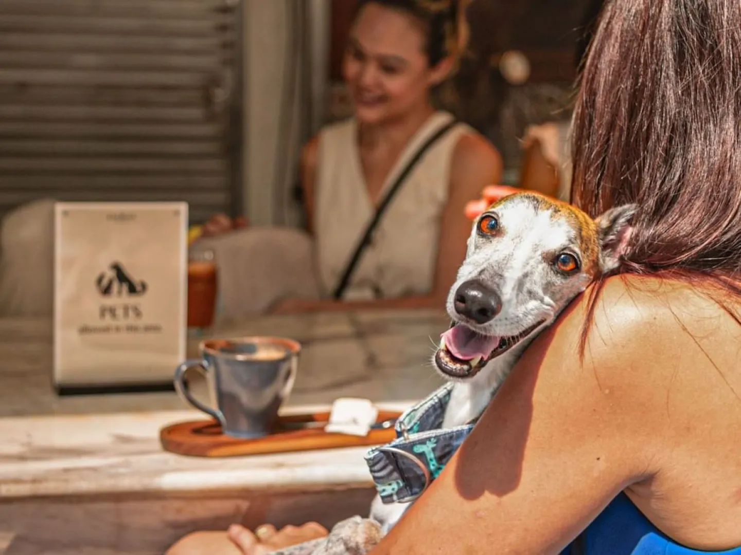 トラス・ストリートの「エレメント」にて「ポーズ＆プレイ」